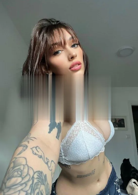 Sheiseijas