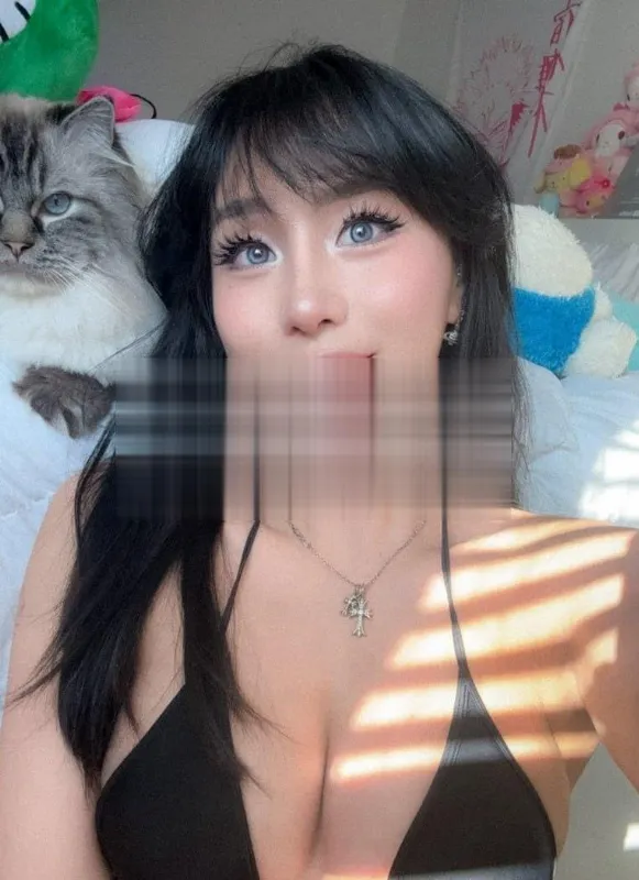 Kittynobi