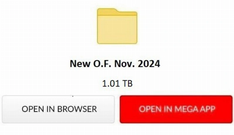 MegaFolder 1,01 TB 0nlyfans November 2024