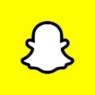 SNAP LEAKS