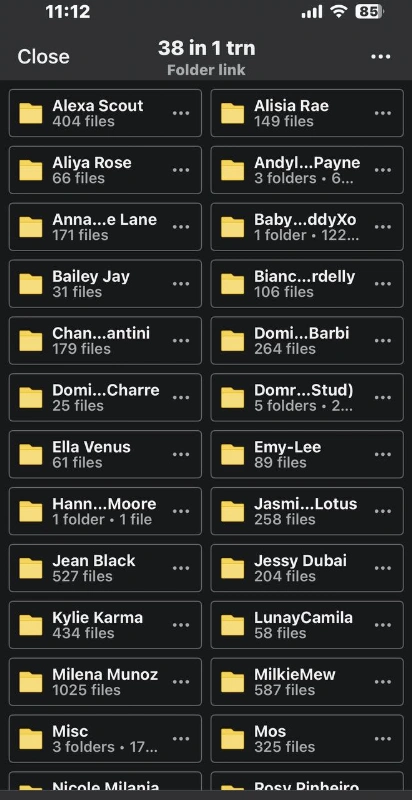 38 Trans In 1 Folder Updated