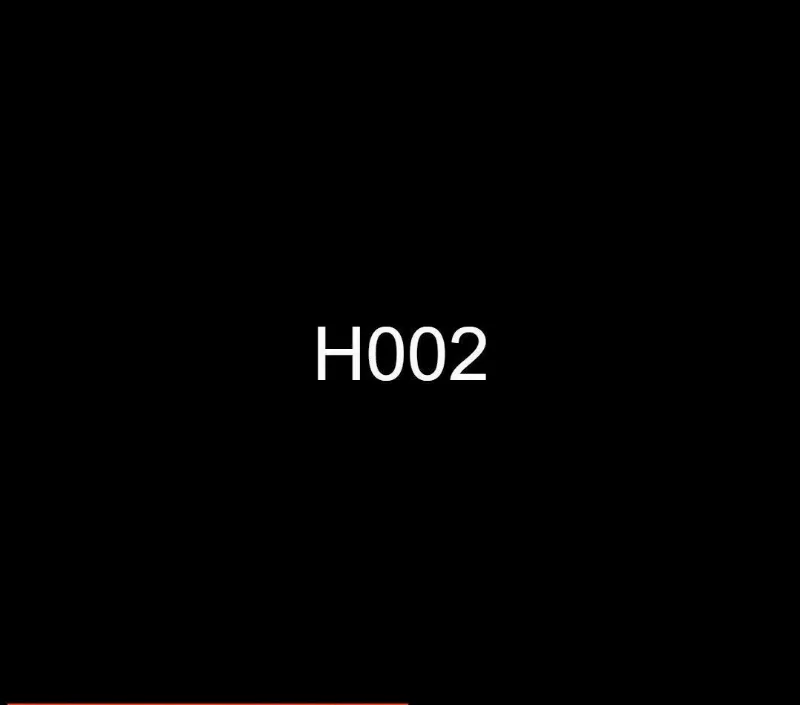 H002