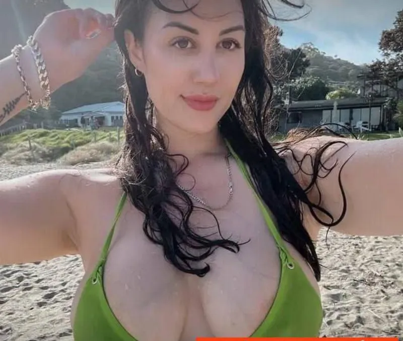 TheGeminiFairy