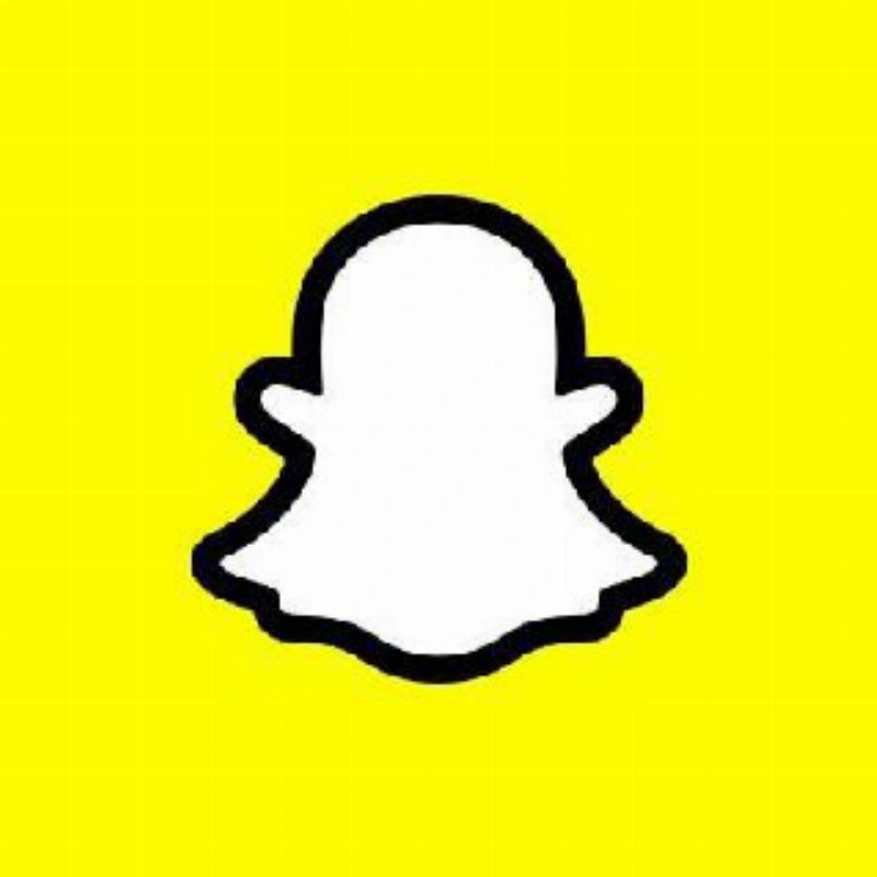 SNAP LEAKS