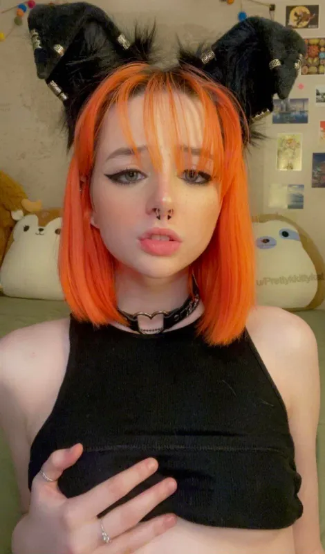 Prettykkittykat 