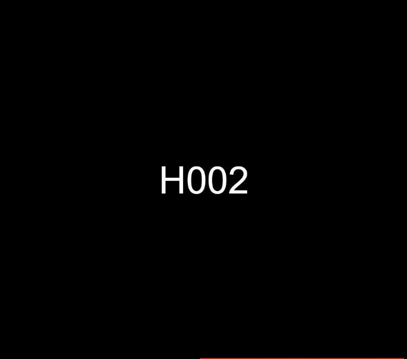 H002